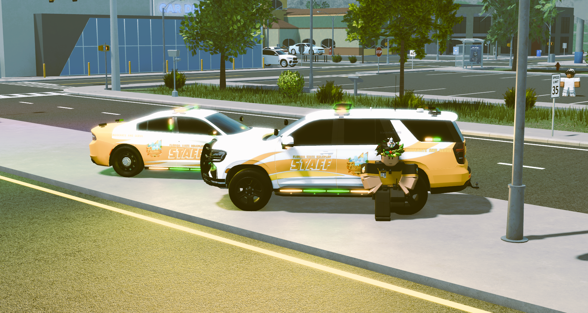 Server Screenshot